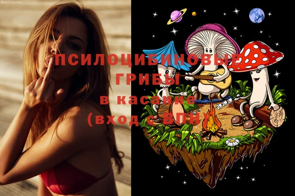 ГАЛЛЮЦИНОГЕННЫЕ ГРИБЫ Новокубанск