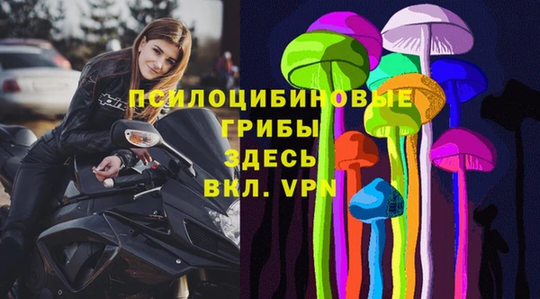 дмт Нея