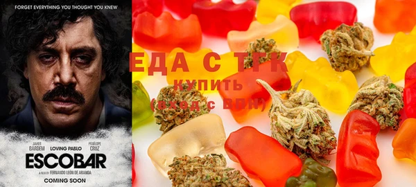 дмт Нея