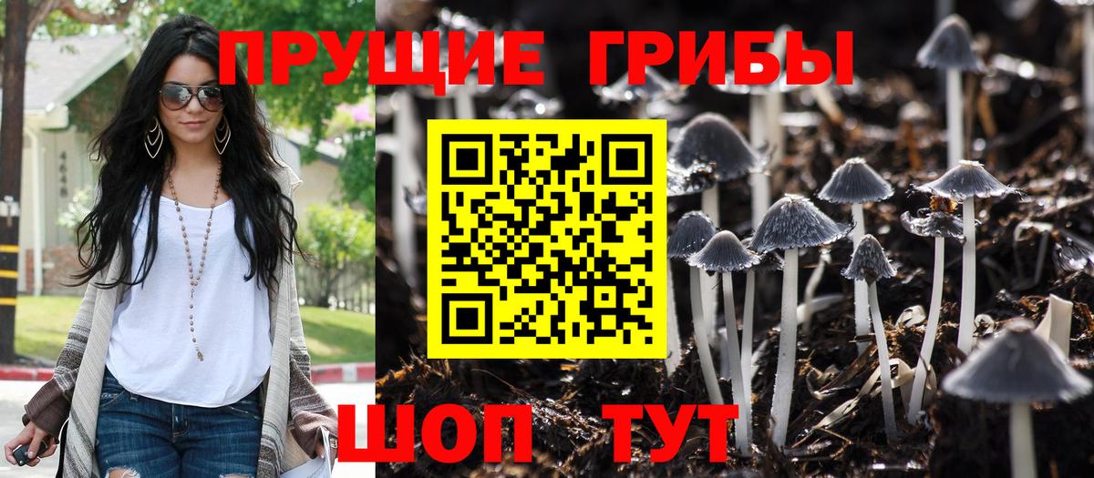 Псилоцибиновые грибы мицелий Пушкино