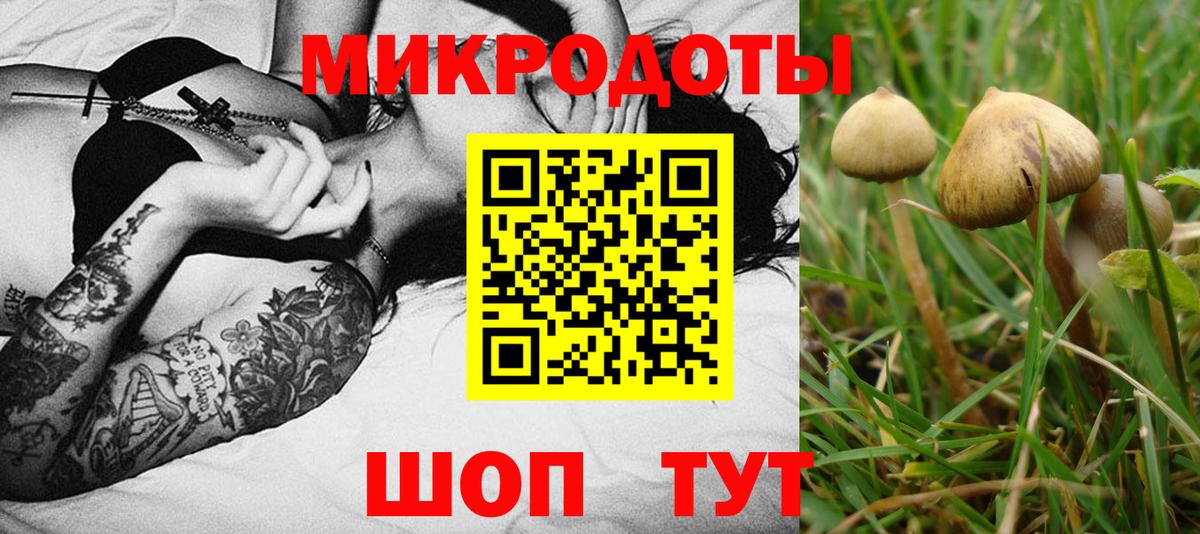 Псилоцибиновые грибы Magic Shrooms Пушкино