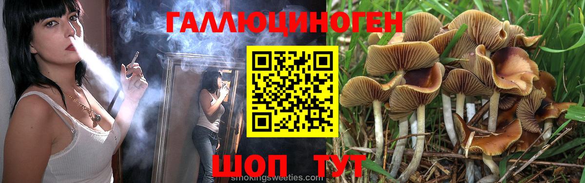 Псилоцибиновые грибы MAGIC MUSHROOMS  купить  цена  Вход с VPN  Пушкино  Псилоцибиновые грибы Cubensis 